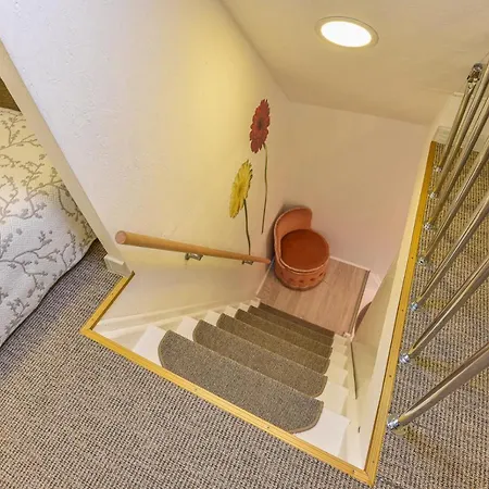 Renata Laure Паланга