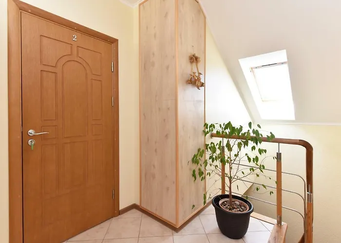 Renata Laure * Palanga